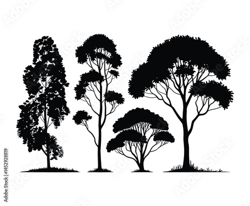 Isolated Eucalyptus Tree Silhouette Set Vector Template