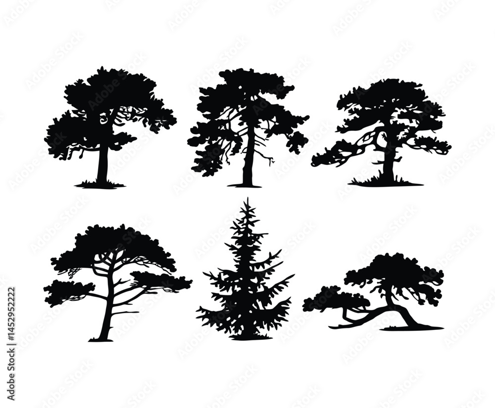 Fototapeta premium Juniper Tree Silhouette Vector Illustration on White Background