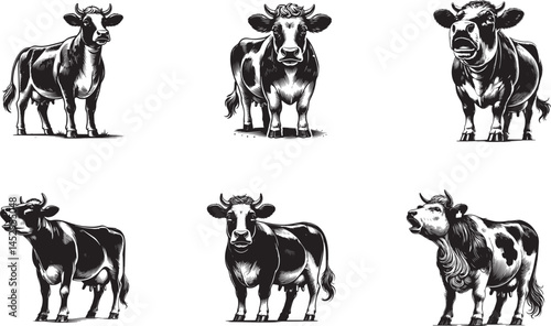 set of cows mooing Black vector illustration
