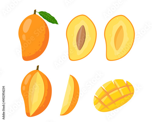 Set of fresh Mango fruit icons. Whole and half cut mango and pieces. Tropical fruits for juice, smoothie or vitamin healthy food. Vector illustration isolated on white background.