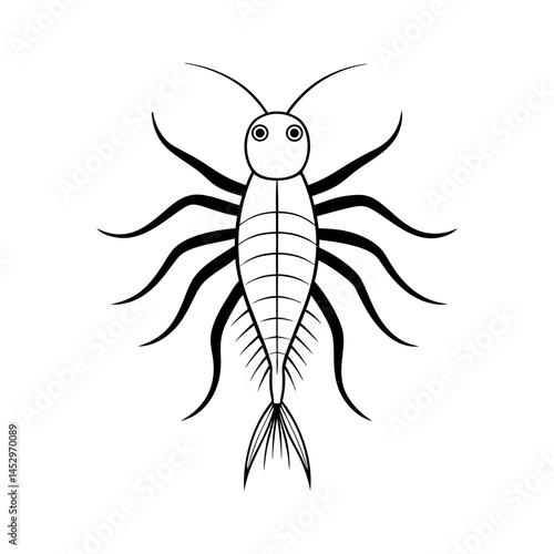 Copepod Outline Marine Vector Illustration
