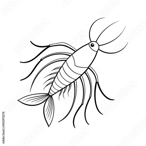 Minimalist Copepod Sea Line Art Sketch