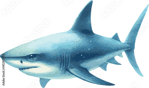 Vector illustration of a blue shark