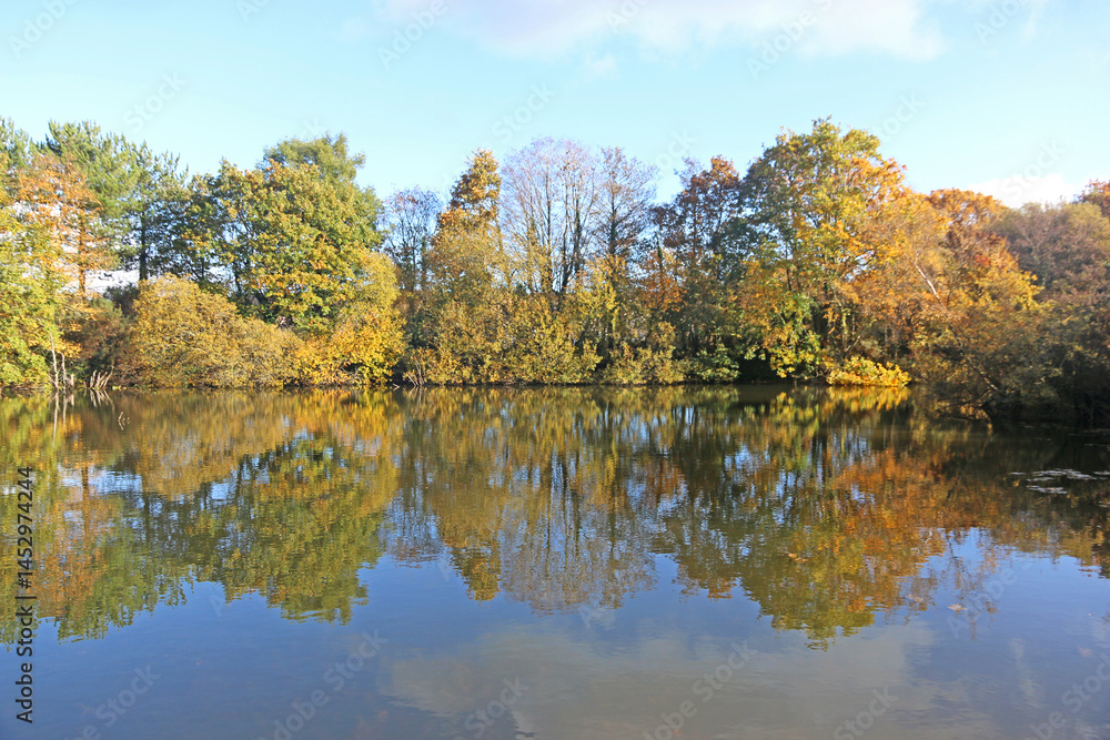 Lake in Decoy Country Park, Devon in Autumn Lake in Decoy Country Park, Devon in Autumn