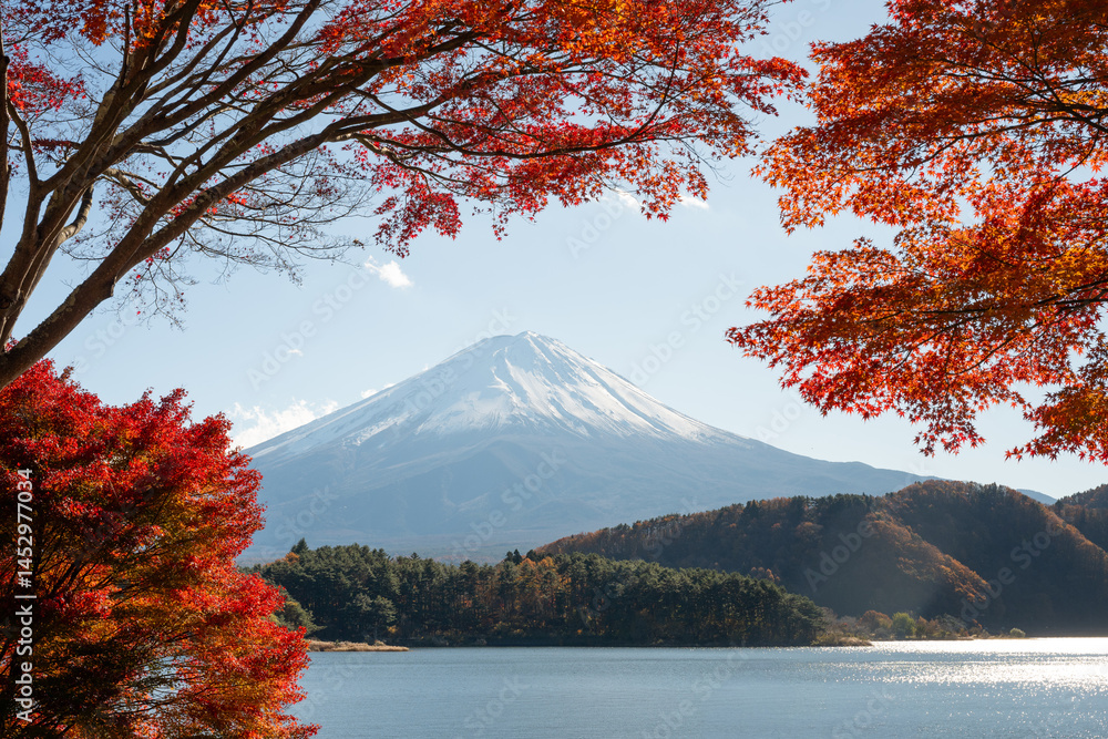 Fototapeta premium Mount Fuji rising over lake and colorful autumn foliage in Japan