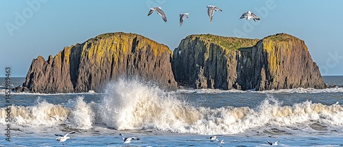 Coastal rocks and waves with flying seagulls.