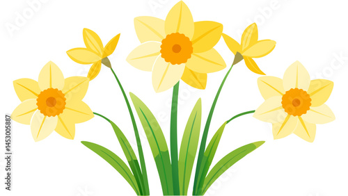 Illustration of daffodils flowers spring floral design yellow flowers botanical garden blossom bloom nature art