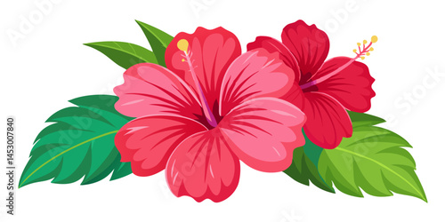 Red hibiscus flower floral bloom blossom tropical hawaiian petals botanical vector art design
