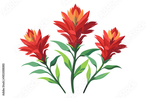 Red flowers illustration floral design botanical art nature garden plant blossom bloom flora