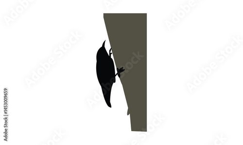 African spotted creeper bird Silhouette Design  And Vector Illustration. 