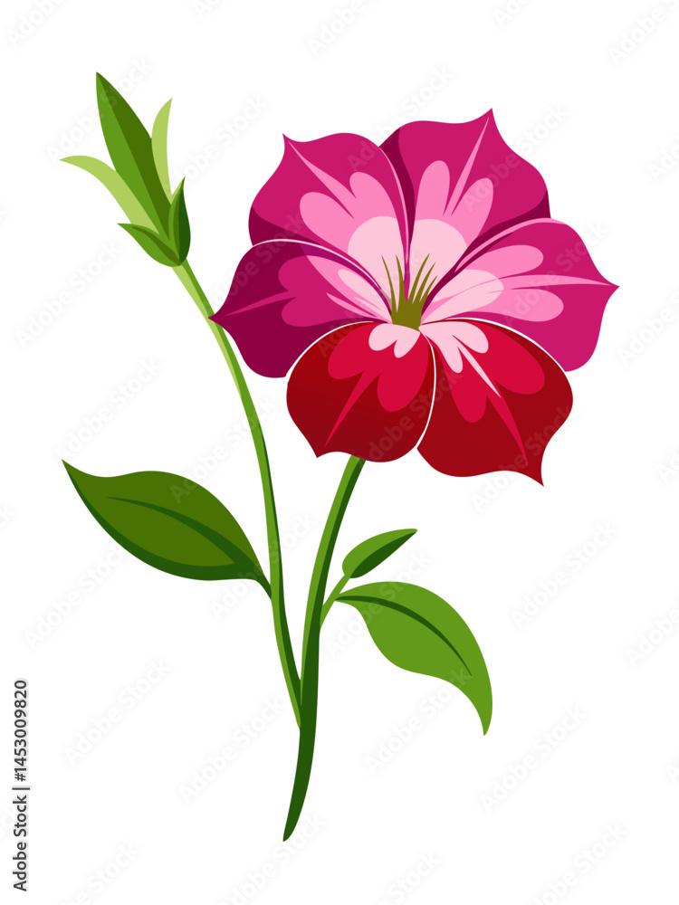 Fototapeta premium Beautiful petunia flower illustration vector graphic design floral blossom bloom botanical art drawing