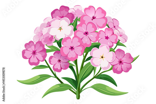 Beautiful phlox paniculata flowers floral arrangement pink flower garden phlox bloom blossom flora plant botanical nature bouquet design