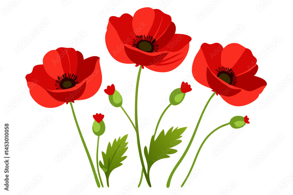 Obraz premium Beautiful red poppy flowers illustration with leaves floral design flower spring summer bloom art