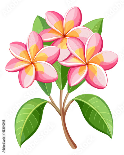 Illustration of pink plumeria flower tropical floral blossom bloom petal frangipani plant design art