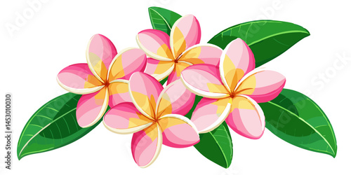 Tropical plumeria flower illustration floral design exotic frangipani blossom bloom nature garden art drawing