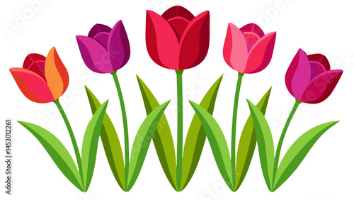 Illustration of colorful tulips flower garden floral spring bloom blossom nature design art