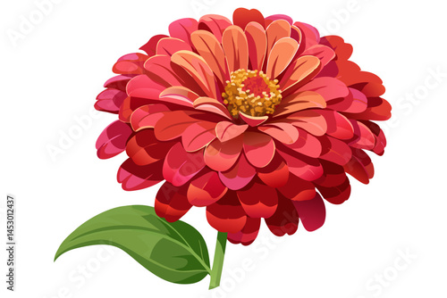 Red zinnia flower illustration, botanical art, floral design, garden flower, summer flower art