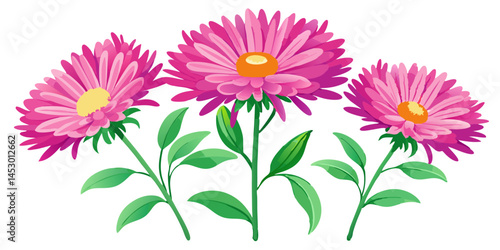 Pink aster flowers floral arrangement blossom bloom petals flowering plant botanical garden flora