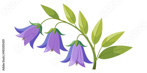 Illustration of campanula flowers with leaves, floral botanical vector design element, nature art