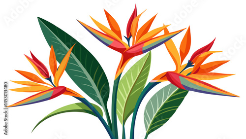 Beautiful bird of paradise flowers tropical floral design exotic strelitzia reginae plant art vector