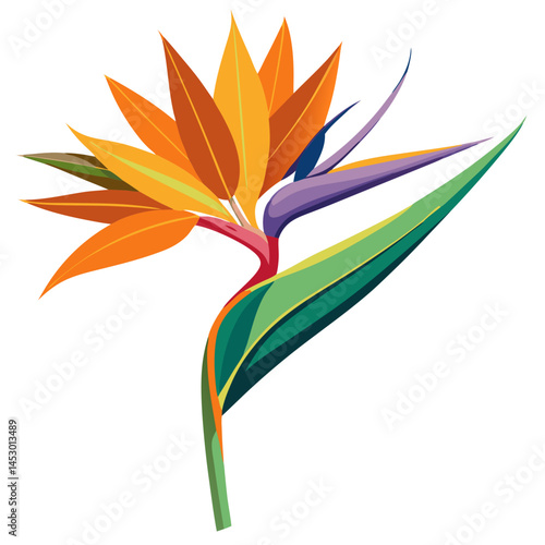 Illustration of a bird of paradise flower, tropical floral design, exotic plant, botanical art, flora