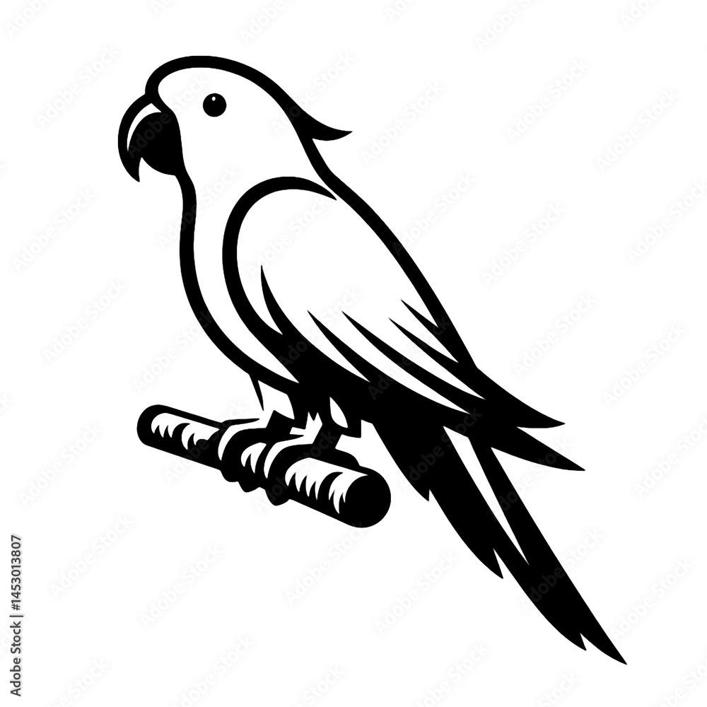 Fototapeta premium parrot on a branch, parrot on a white background, vector illustration of a parrot, bird, vector, black and white