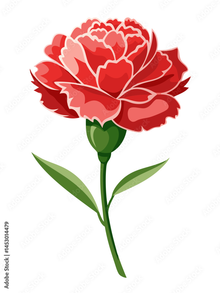 Illustration of a beautiful red carnation flower with green stem and leaves floral design vector art Illustration of a beautiful red carnation flower with green stem and leaves floral design vector art