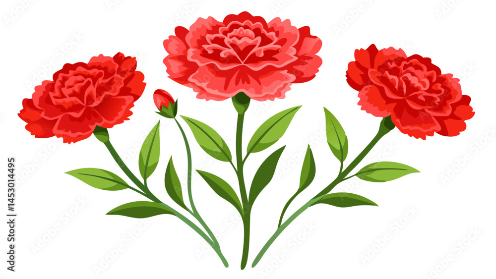 Obraz premium Beautiful red carnation flower floral arrangement vector illustration clip art design element