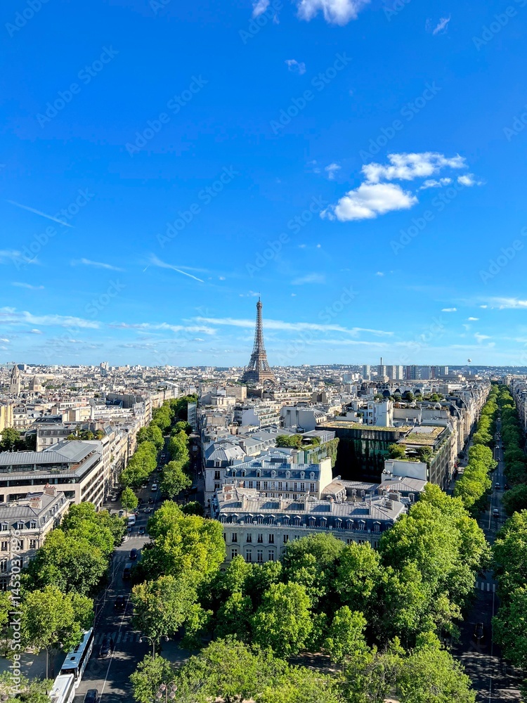 Obraz premium Parisian Panorama with Eiffel Tower and Grand Boulevard