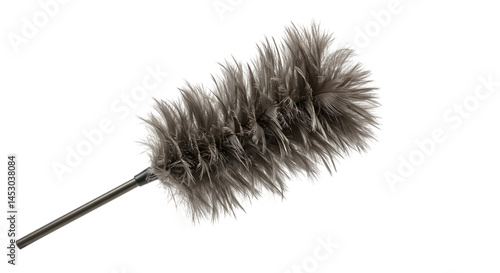feather duster isolated on white