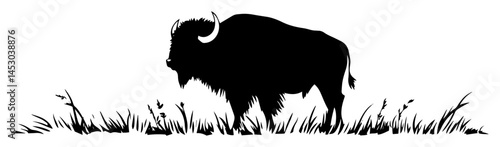 silhouette of wild bison standing in grass