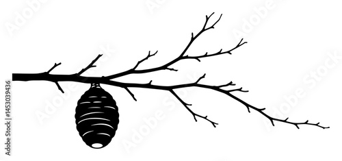 silhouette of tree branch with hanging wasp nest