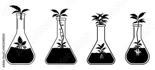 plants growing in laboratory flasks laser cutting shape vector