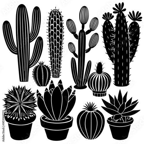 Collection of Black and White Cactus and Succulent Silhouettes