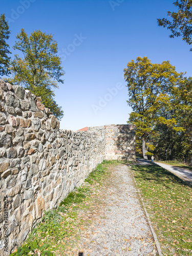 Obraz na płótnie Roman fortified settlement Tsari Mali grad, Bulgaria w salonie
