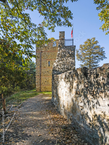 Obraz na płótnie Roman fortified settlement Tsari Mali grad, Bulgaria w salonie