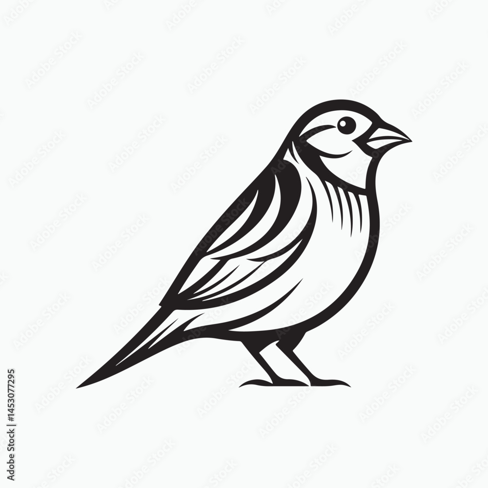 Obraz premium house sparrow bird silhouette vector