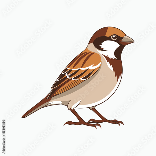 house sparrow bird silhouette vector