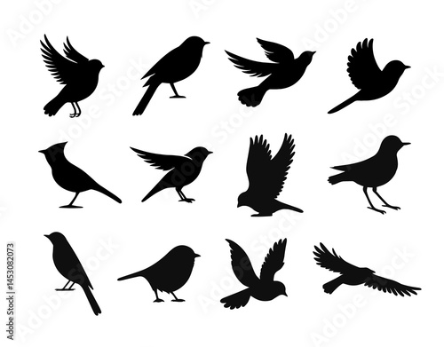Vector birds silhouette fly sparrow icon. Animal dove bird silhouette raven feather perch cardinal black icons