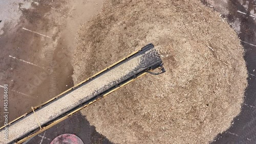 Wallpaper Mural Slow-motion drone video captures a conveyor belt end discharging wood chips in a graceful cascade, each chip tumbling into a shifting pile below, set against the textured ground and warm, golden ambie Torontodigital.ca