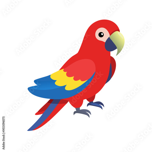 Parrot: The Colorful Birds of the Tropics