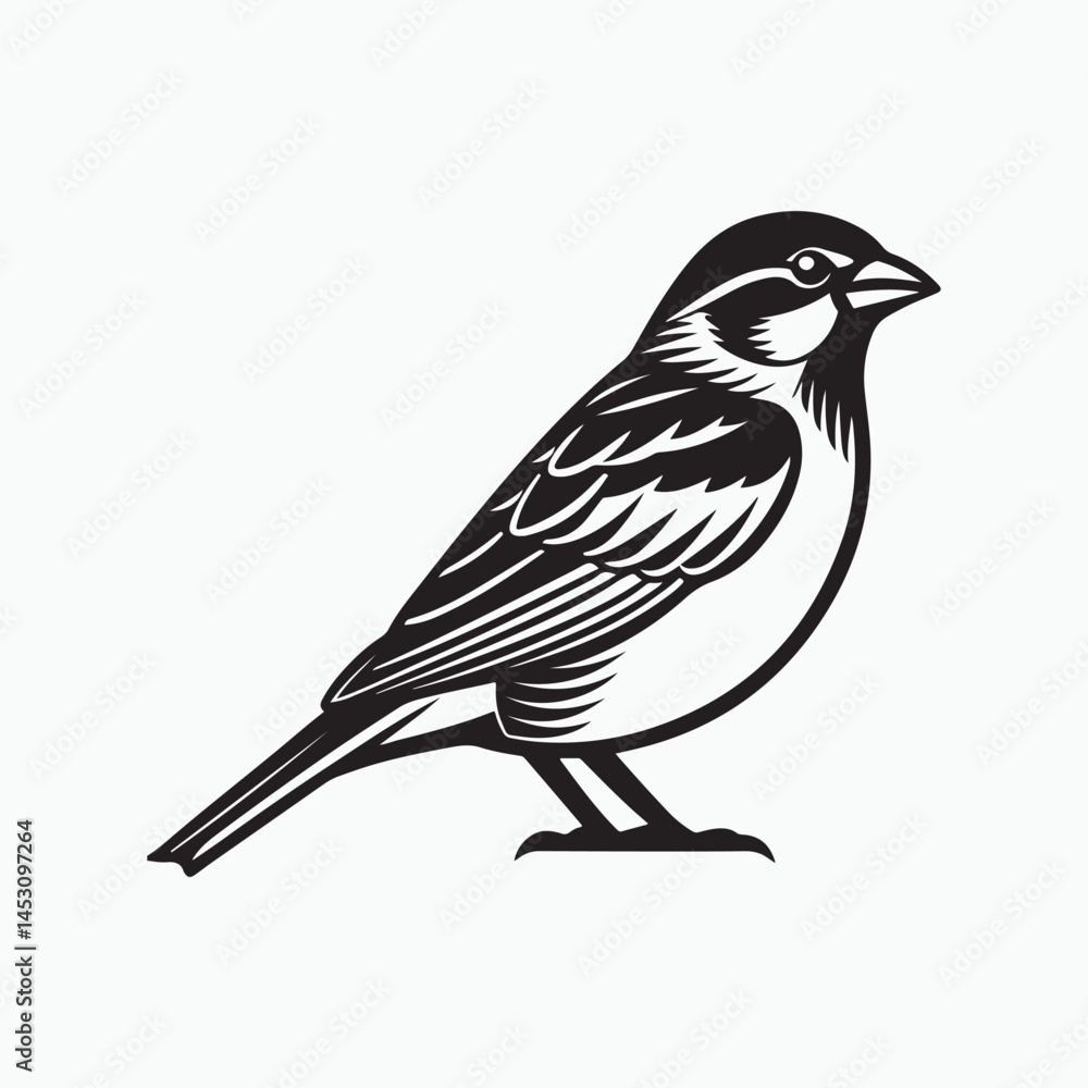 Fototapeta premium house sparrow bird silhouette vector