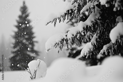 Obraz na płótnie A snowy, misty scene with pine trees decorated for the holiday season. w salonie