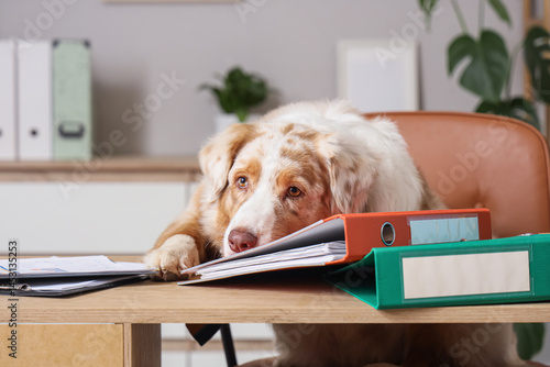 Funny business Australian S...