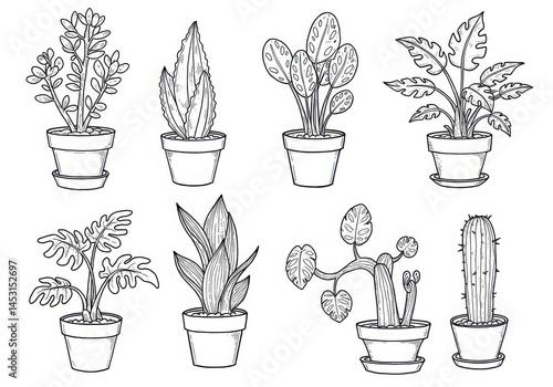 Collection of potted plants line art isolated on white background