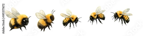 set of watercolor bumblebee with chubby fluffy body isolated on white background, cartoon and realistic style