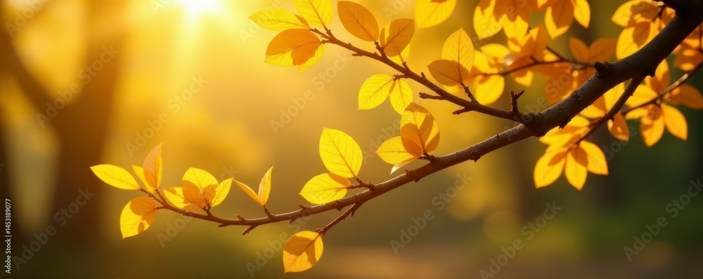 Golden tree branches laden with gold coins, bathed in sunlight , prosperity, harvest Golden tree branches laden with gold coins, bathed in sunlight , prosperity, harvest