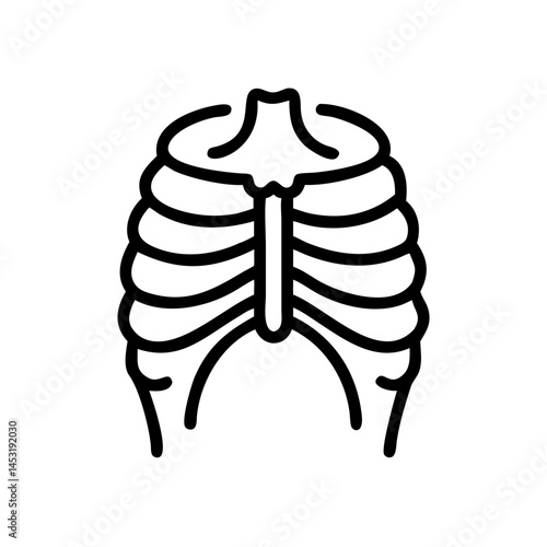 ribs