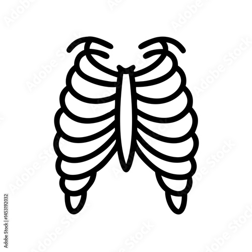 ribs