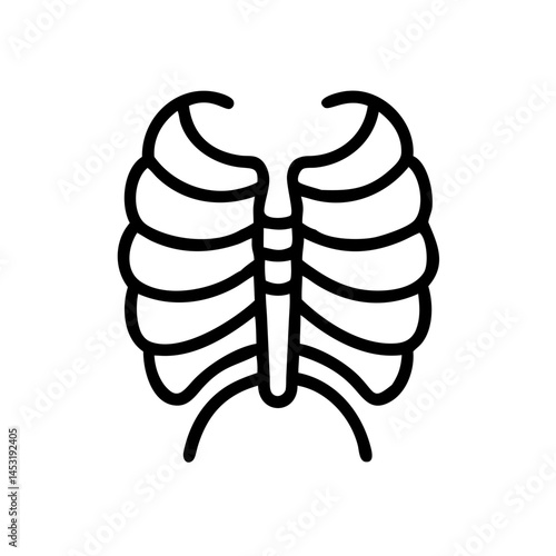 ribs